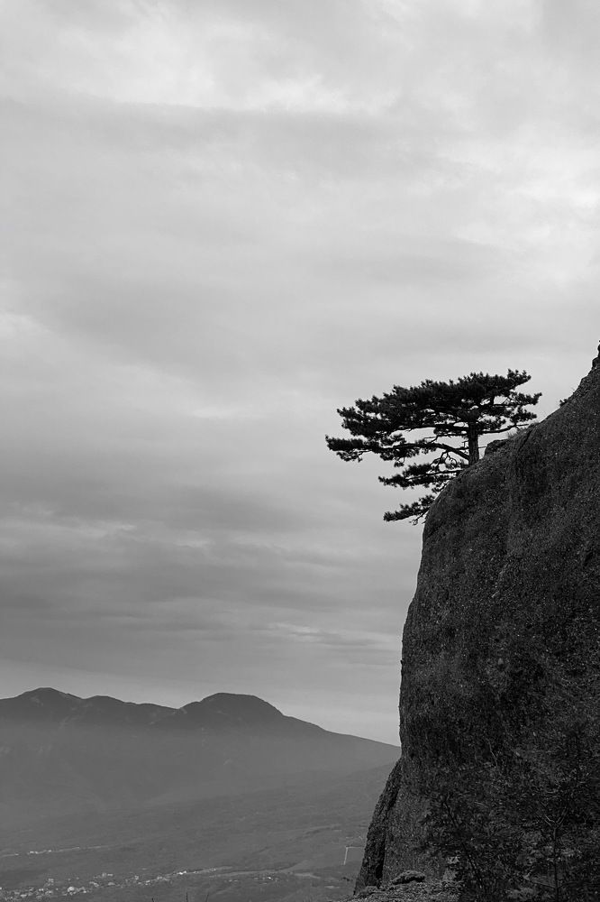 Photograph by Алина Цымбал