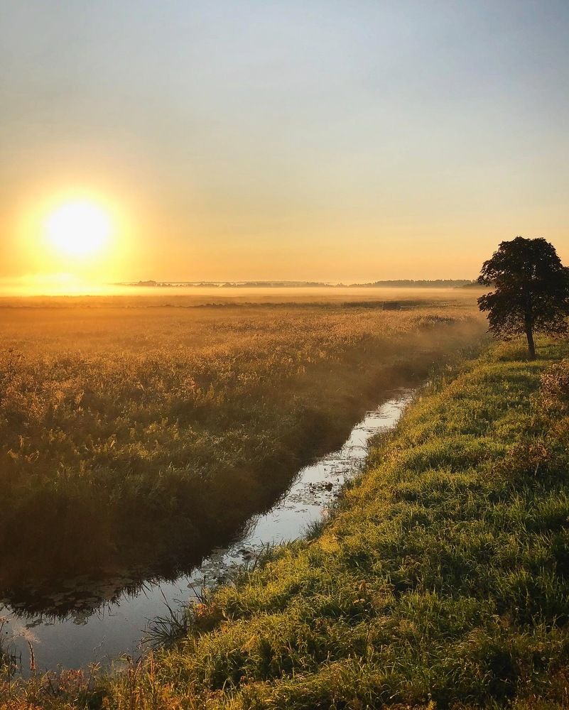 Photograph by Лариса Акинчиц