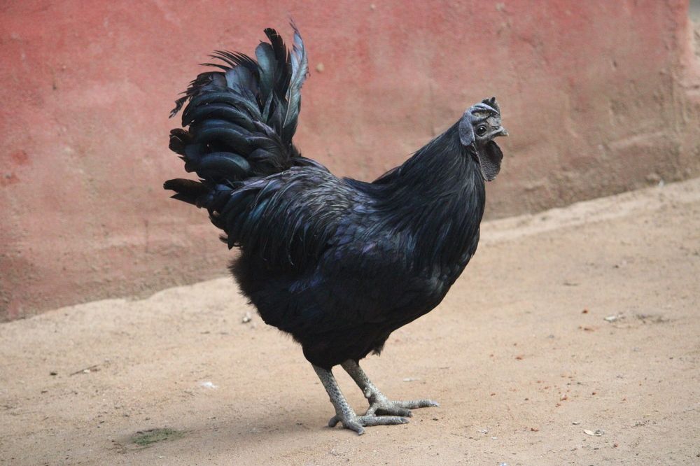 Photograph by Vishwa Trivedi