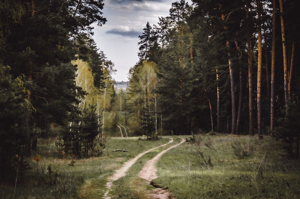 Дорожка в апрель