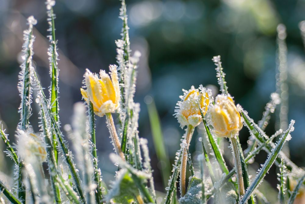 Photograph by Ольга Чуванова