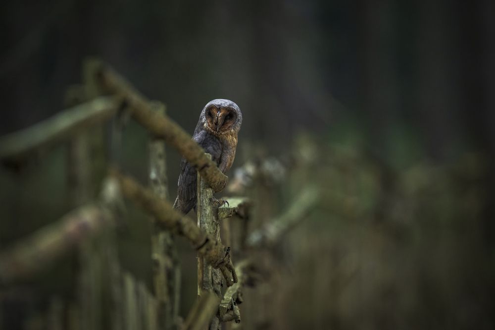 Photograph by Rok Štirn