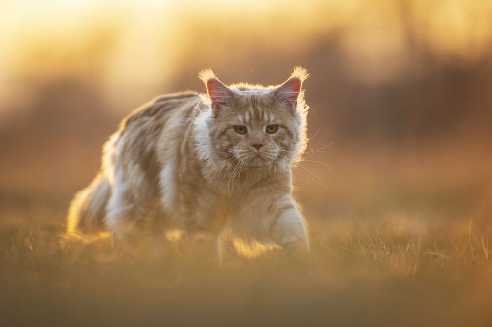 Photograph by Rok Štirn