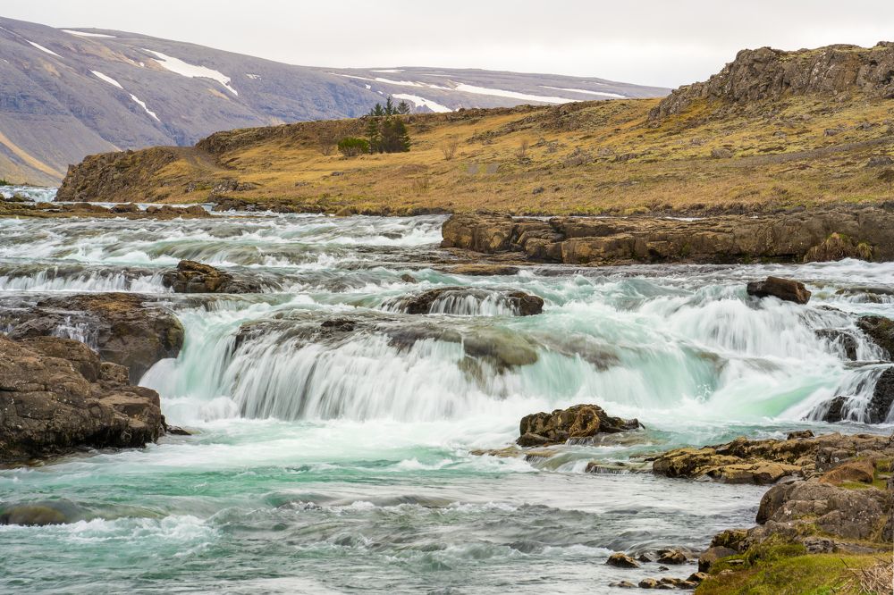 Photograph by Piotr Mickevic