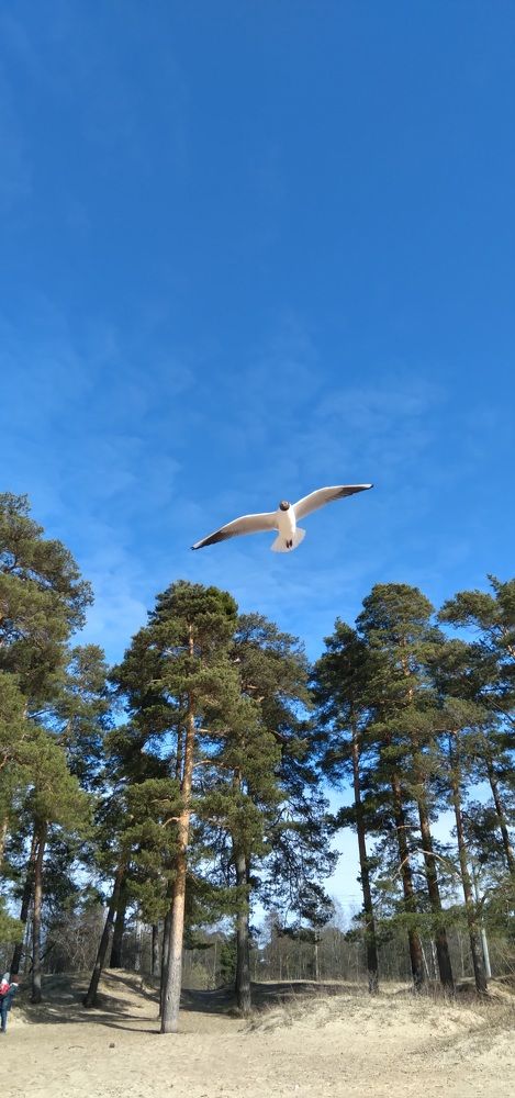 Photograph by Любовь Макарова