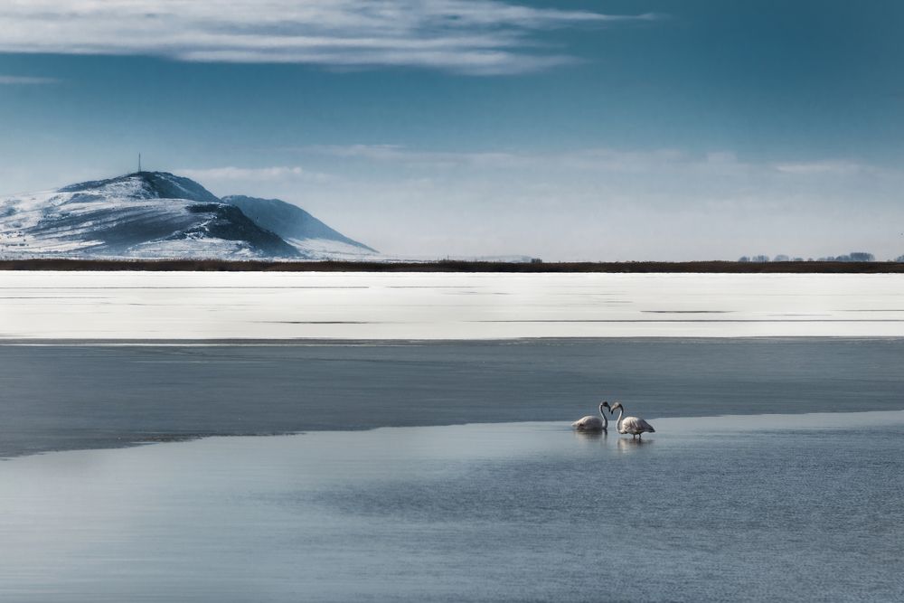 Photograph by Bahir DIBEKOGLU