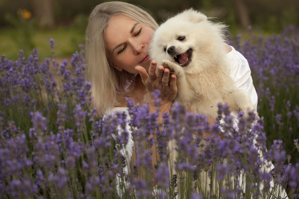 Фотография автора Alena Makushina