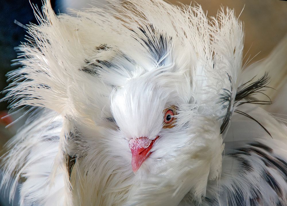 Photograph by Алексей Окунеев