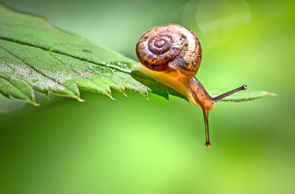 Фотография автора Andrey Pristyazhnyuk