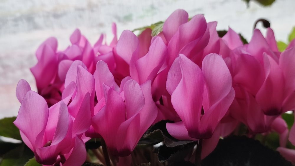 Photograph by Jasminka Nadaškić