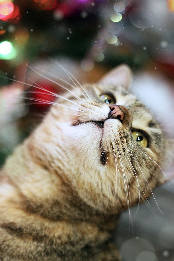 Photograph by Olga Kaynova