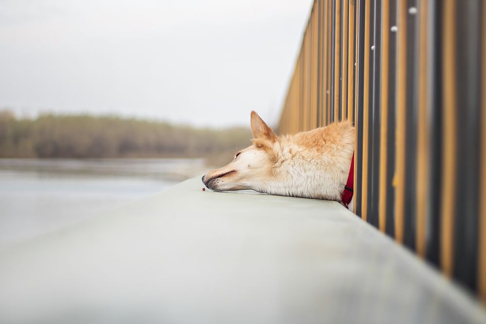 Фотография автора Екатерина Атавина