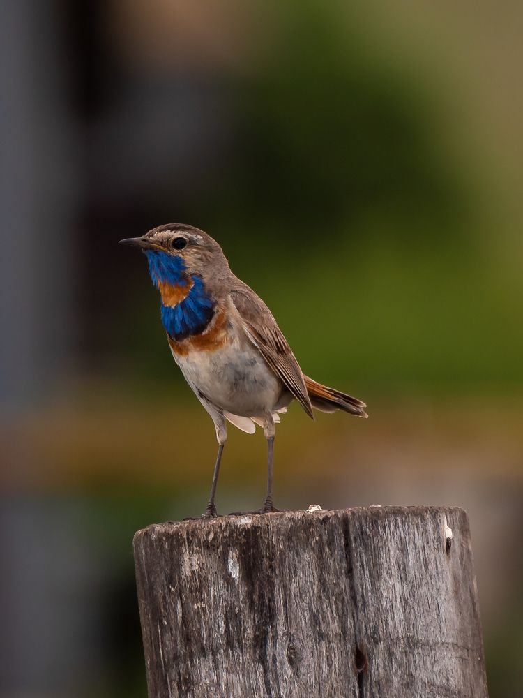 Photograph by Ильдар Гараев