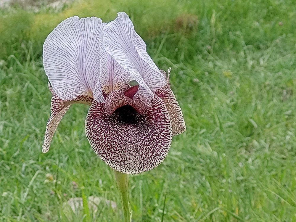 Photograph by Drora Baharal