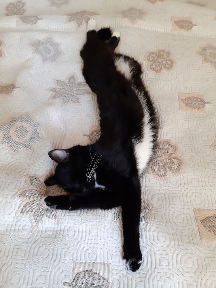 Без пятнадцати шесть