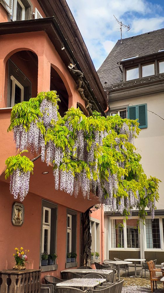 Photograph by Анастасия Ди Филиппо