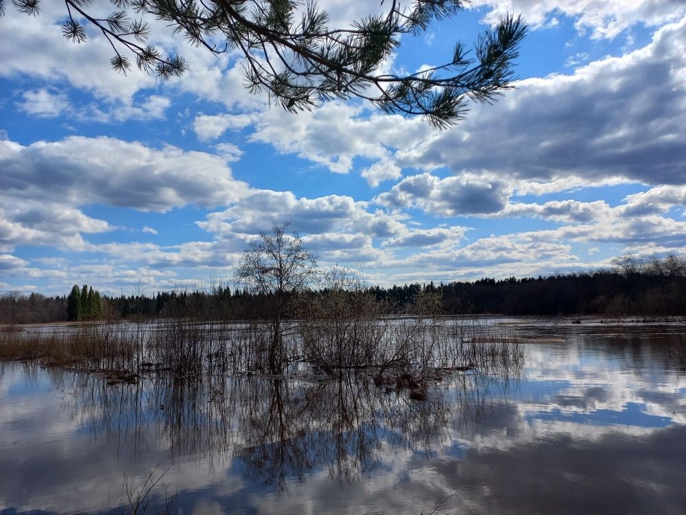 Photograph by Ксюша