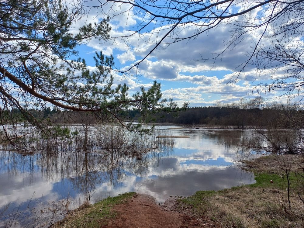 Photograph by Ксюша