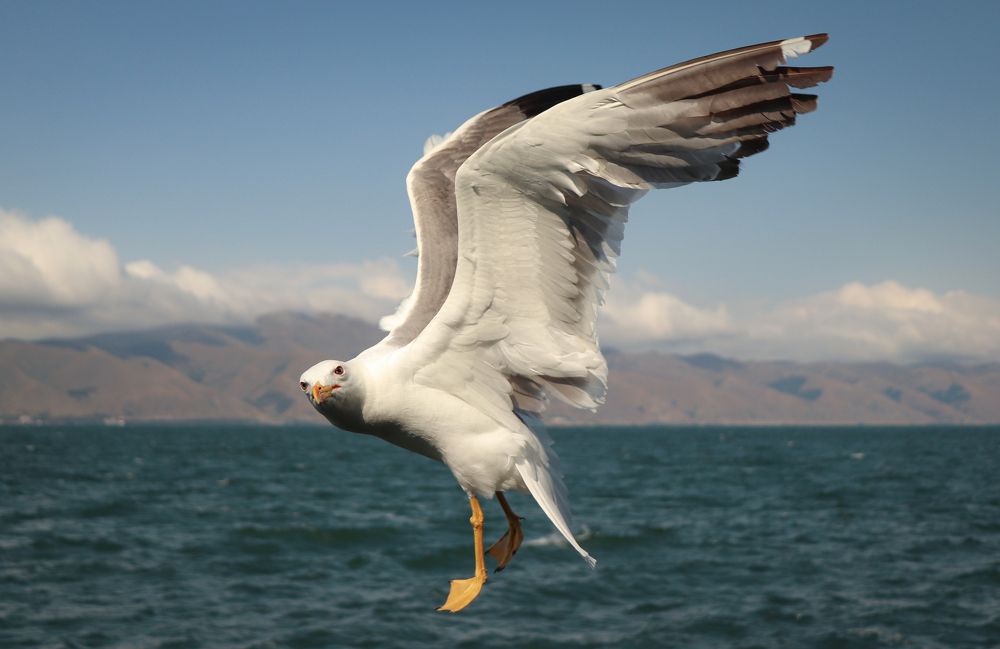 Photograph by Yevgeniya SHEREMET