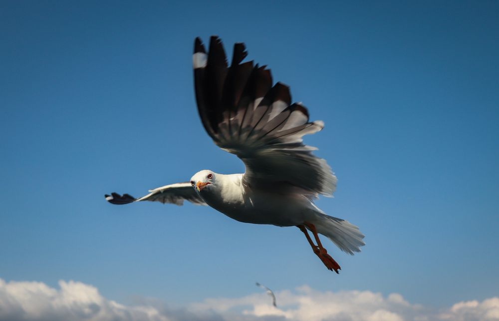 Photograph by Yevgeniya SHEREMET