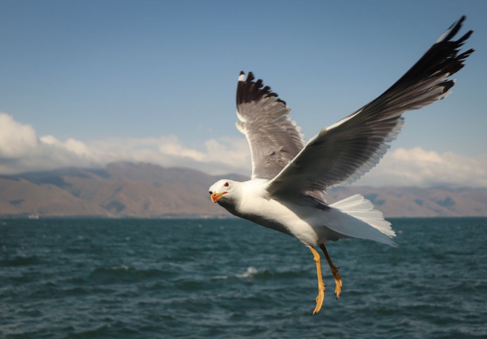 Photograph by Yevgeniya SHEREMET