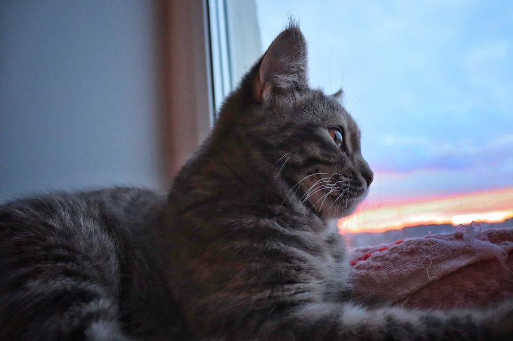 Photograph by Иван Белянин