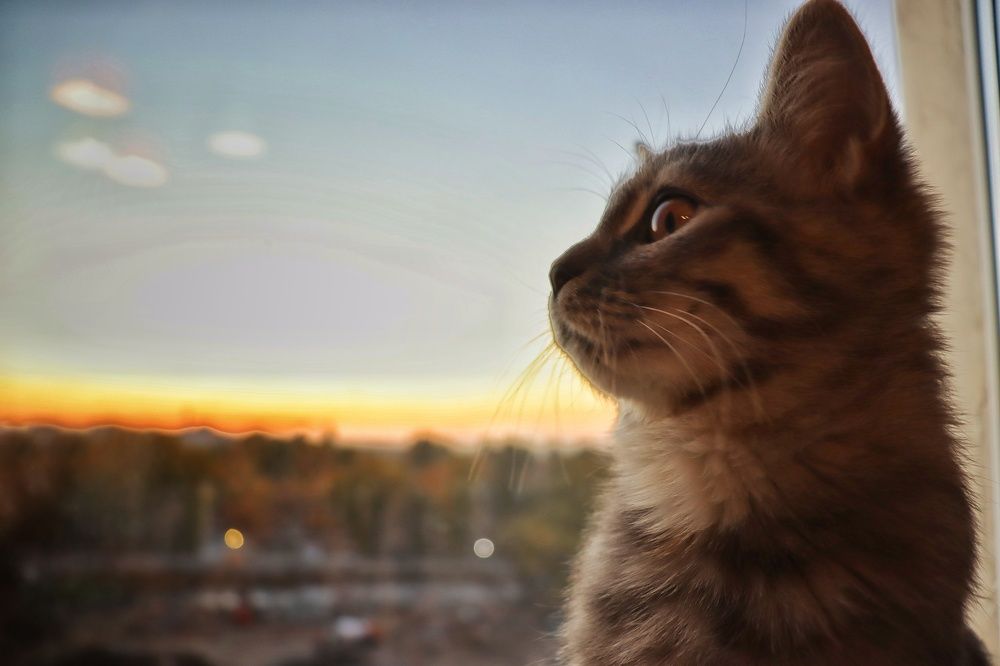 Photograph by Иван Белянин