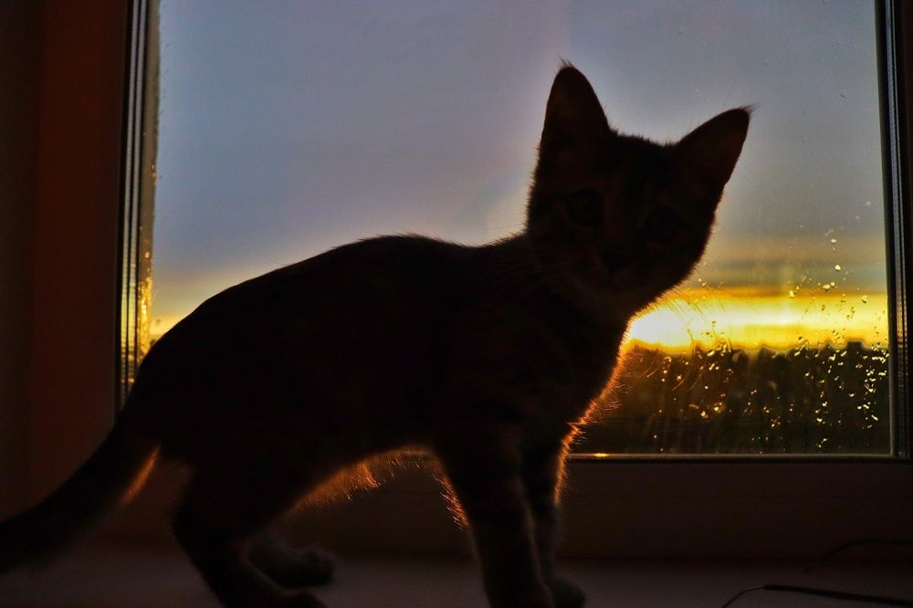 Photograph by Иван Белянин