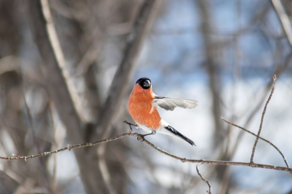 Photograph by Артем Штылев