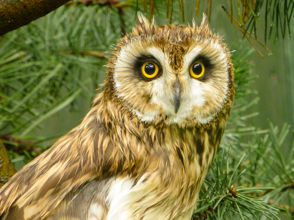 Photograph by Olga Smirnova