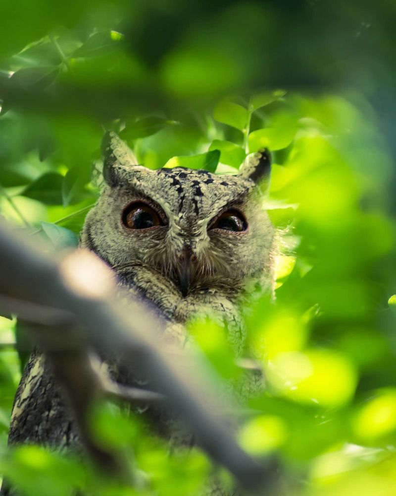 Photograph by Nikhil Raghuwanshi