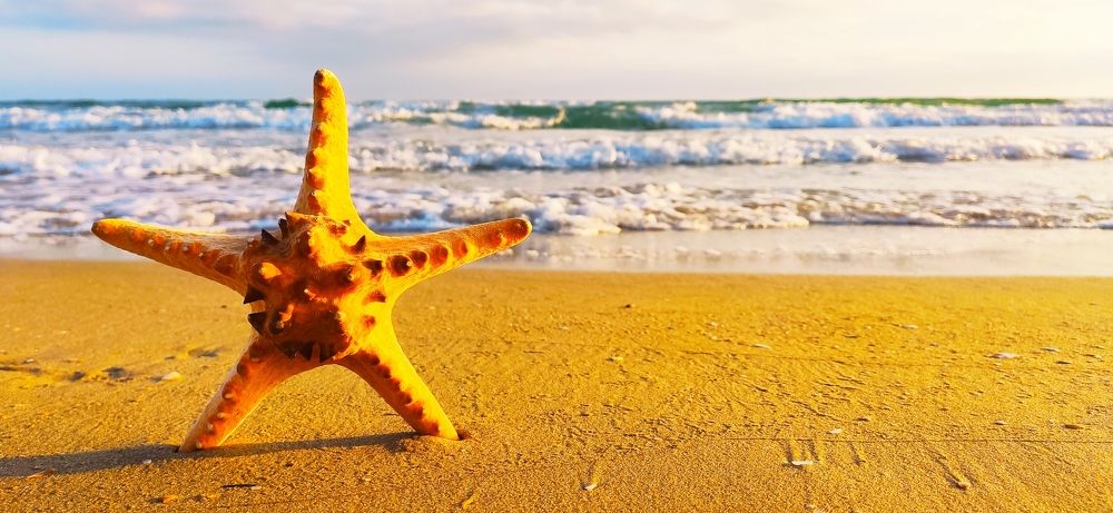 Photograph by Александр Ермаченко