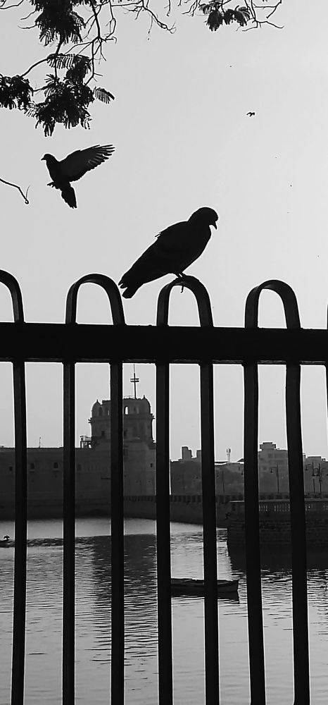 Black & white ??