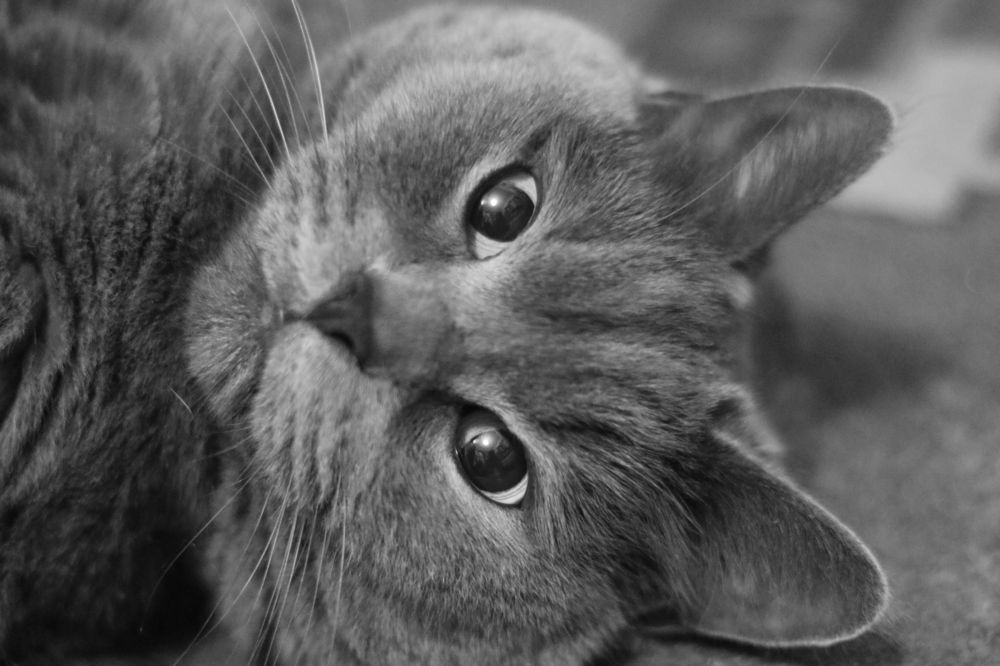 Photograph by Софья