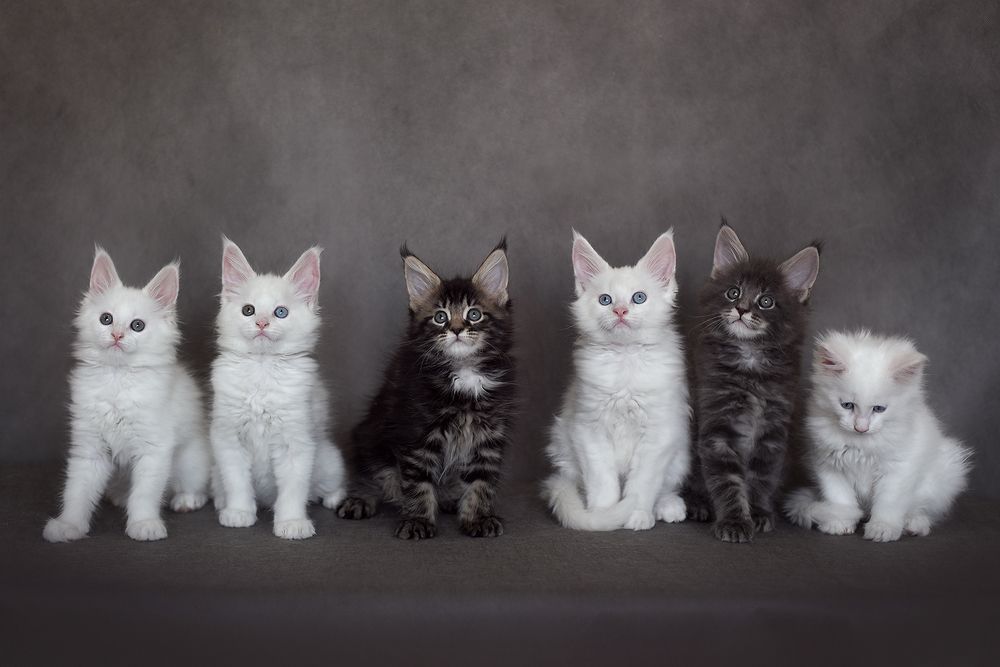 Photograph by Ольга Куницкая