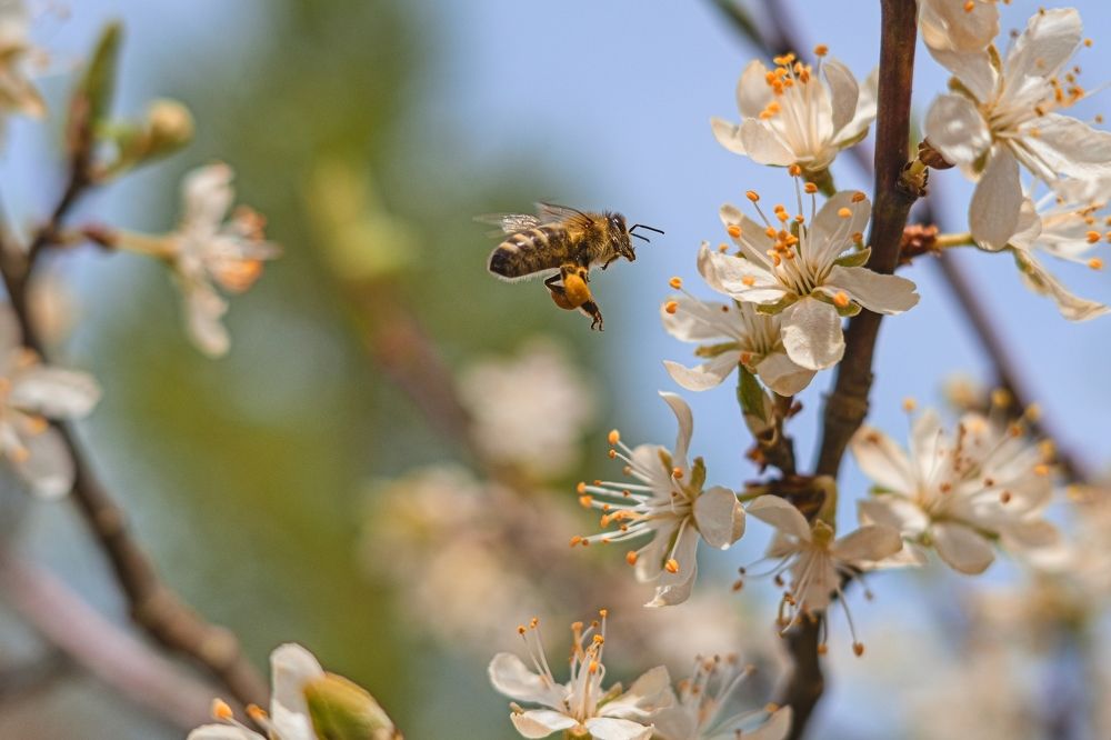 Photograph by Jan Musil