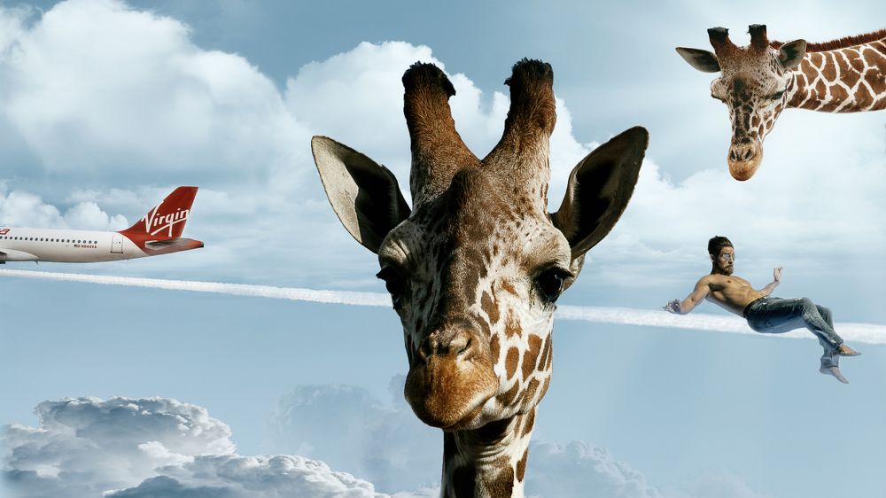 Photograph by Philip Butkin