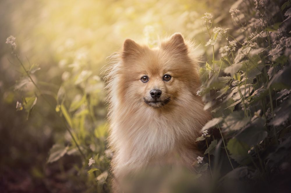 Photograph by Deise de Oliveira