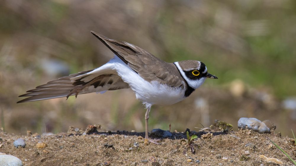 Photograph by Валерий Шурмиль