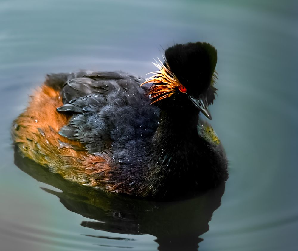 Photograph by Iñigo Yvorra