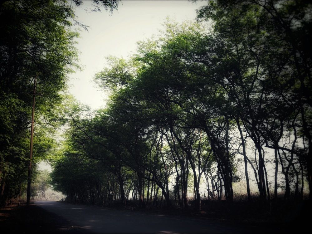 Photograph by Ashutosh Jaiswal