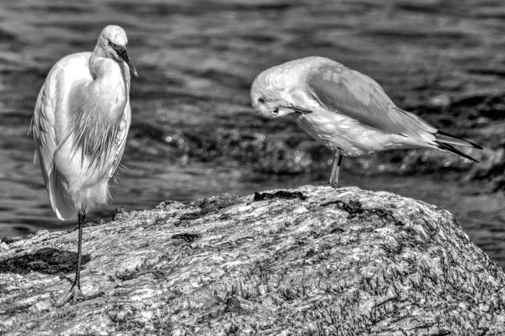 Photograph by SIMONE CIULLI