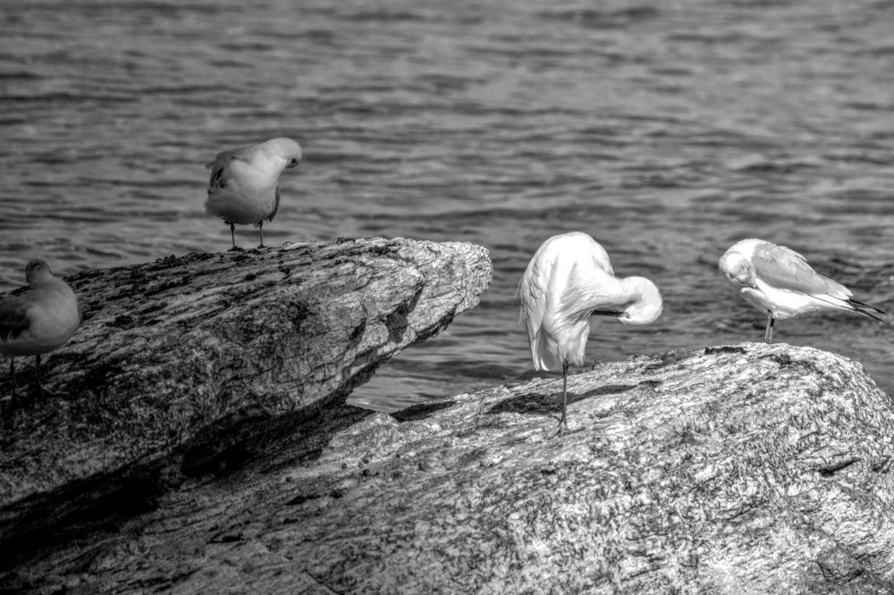 Photograph by SIMONE CIULLI