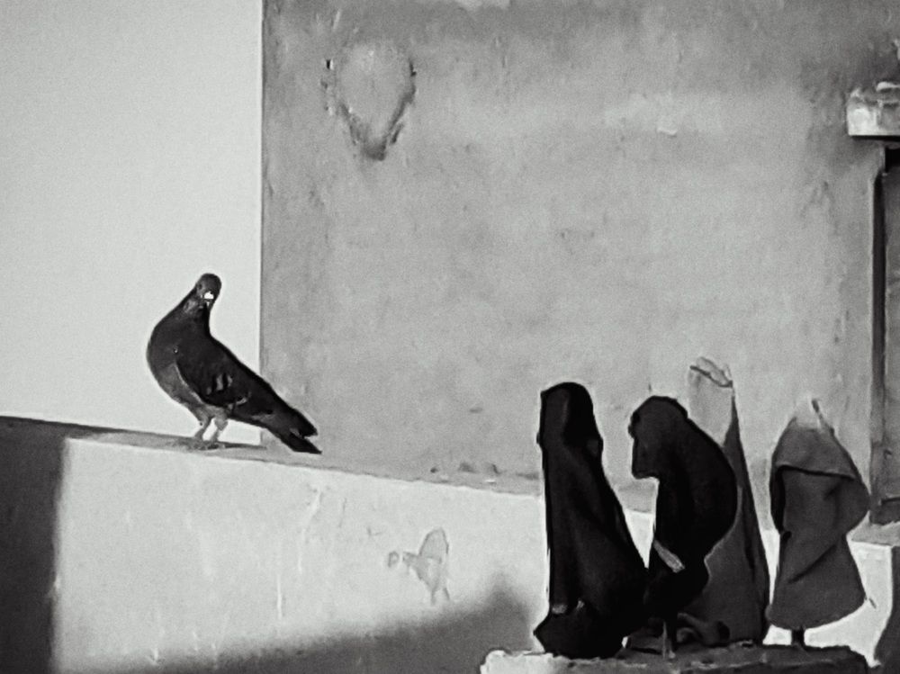 Photograph by Ashutosh Jaiswal