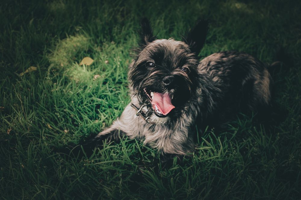 Photograph by Кристина Полякова