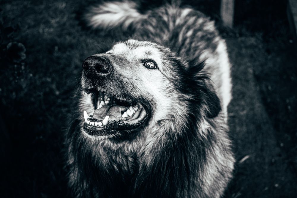 Photograph by Кристина Полякова