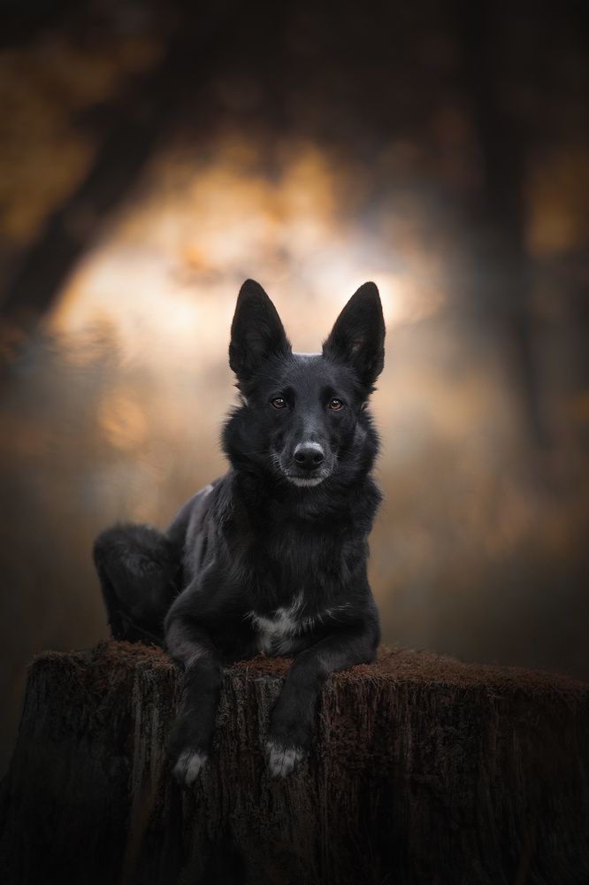 Photograph by Vladimir Smaženka