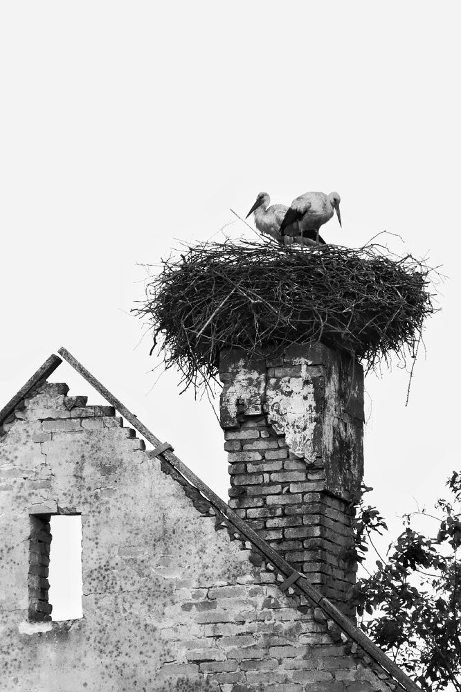 Photograph by Olga Asson