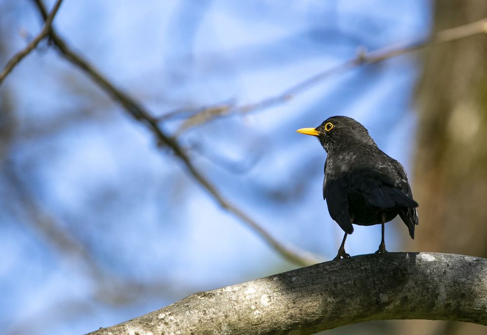 Photograph by Регина Хохлова