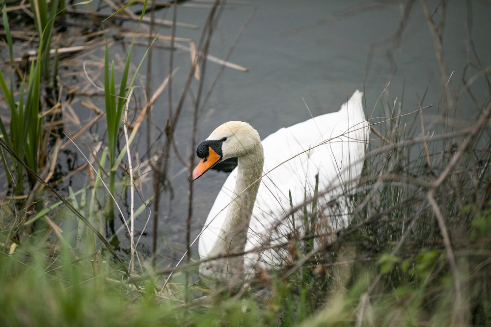 Photograph by Регина Хохлова